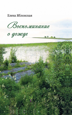 обложка книги Воспоминание о дожде - Елена Яблонская