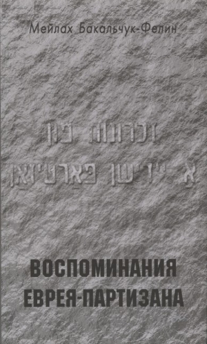 обложка книги Воспоминания еврея-партизана - Мейлах Бакальчук-Фелин