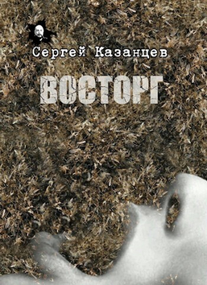 обложка книги Восторг (СИ) - Сергей Казанцев