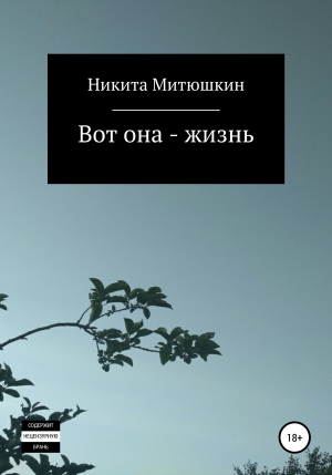 обложка книги Вот она – жизнь - Никита Митюшкин
