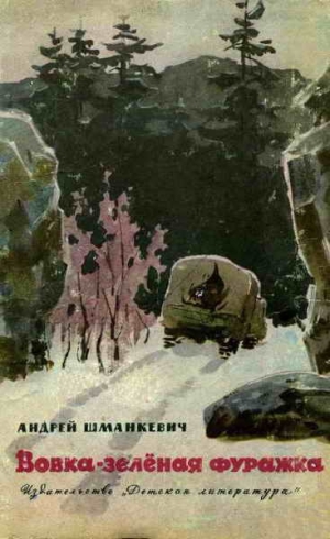 обложка книги Вовка - зелёная фуражка - Андрей Шманкевич