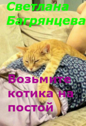 обложка книги Возьмите котика на постой (СИ) - Светлана Багрянцева