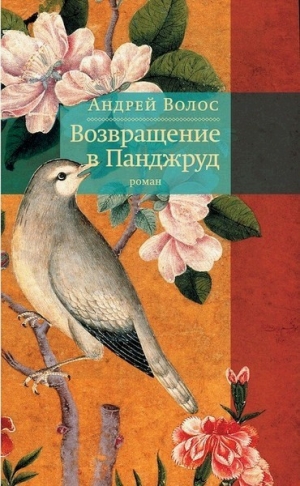 обложка книги Возвращение в Панджруд - Андрей Волос