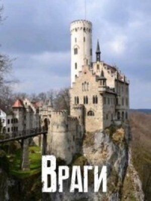 обложка книги Враги (СИ) - Наталья Шнейдер