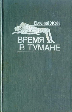 обложка книги Время в тумане - Евгений Жук