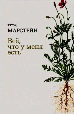 обложка книги Всё, что у меня есть - Труде Марстейн