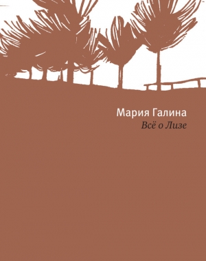 обложка книги Всё о Лизе - Мария Галина