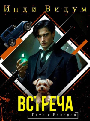 обложка книги Встреча (СИ) - Инди Видум
