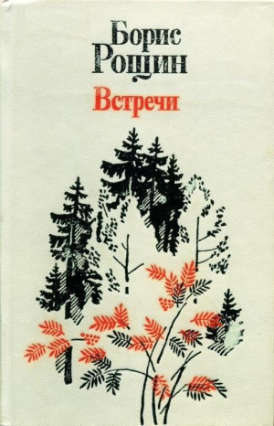 обложка книги Встречи - Борис Рощин