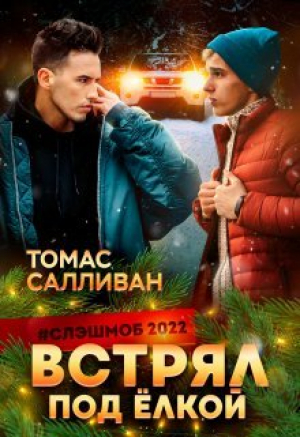 обложка книги Встрял под ёлкой (СИ) - Томас Салливан