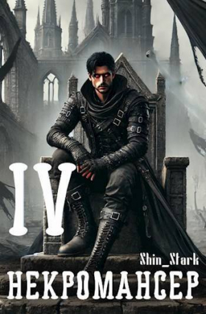 обложка книги Вы призвали… некроманта! Том 4 (СИ) - Shin_Stark