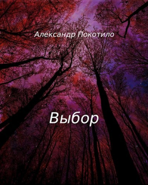 обложка книги Выбор (СИ) - Александр Покотило