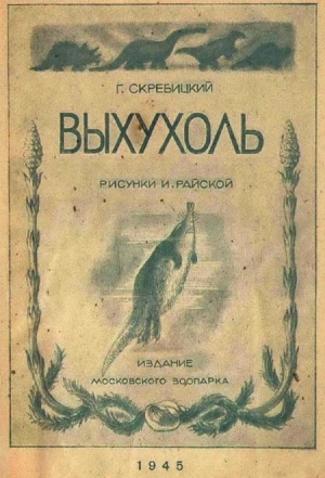 обложка книги Выхухоль - Георгий Скребицкий
