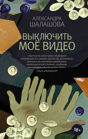 обложка книги Выключить моё видео - Александра Шалашова