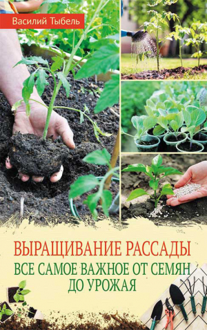 обложка книги Выращивание рассады. Все самое важное от семян до урожая - Василий Тыбель