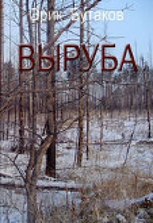 обложка книги Выруба - Эрик Бутаков