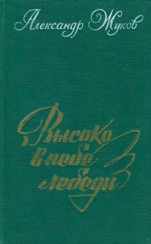 обложка книги Высоко в небе лебеди - Александр Жуков