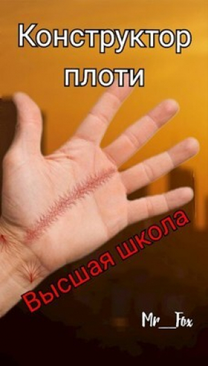 обложка книги Высшая школа (СИ) - Mr_Fox