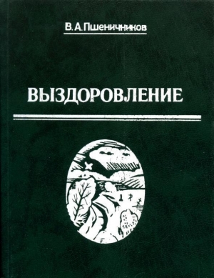 обложка книги Выздоровление - Владимир Пшеничников