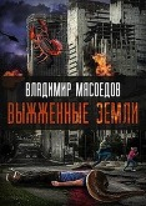 обложка книги Выжженые земли (СИ) - Владимир Мясоедов