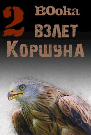 обложка книги Взлет Коршуна 2 (СИ) - B0oka