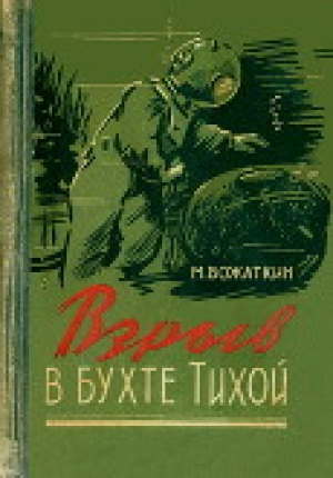обложка книги Взрыв в бухте Тихой - Михаил Божаткин