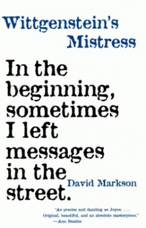 обложка книги Wittgenstein's Mistress - David Markson