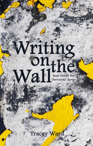 обложка книги Writing on the Wall - Tracey Ward