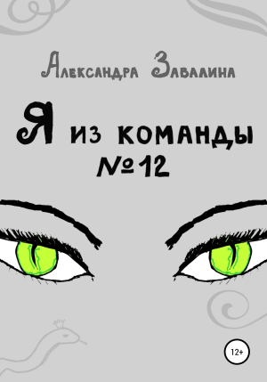 обложка книги Я из команды №12 - Александра Завалина