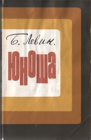 обложка книги Юноша - Борис Левин
