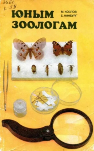 обложка книги Юным зоологам. Наземные и пресноводные беспозвоночные (для кружковой работы) - М. Козлов