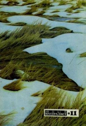 обложка книги Юный натуралист 1970 №11 - авторов Коллектив