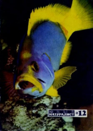 обложка книги Юный натуралист 1971 №12 - авторов Коллектив