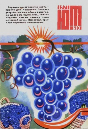 обложка книги Юный техник 1971 №10 - авторов Коллектив