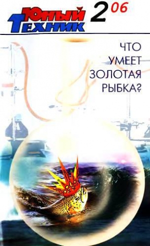 обложка книги Юный техник, 2006 № 02 - Юный техник Журнал
