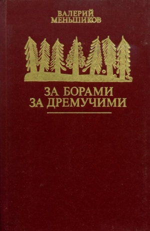 обложка книги За борами за дремучими - Валерий Меньшиков