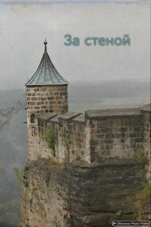 обложка книги За стеной (СИ) - Victor Raya