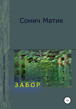 обложка книги Забор - СОНИЧ МАТИК