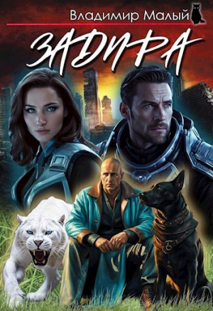 обложка книги Задира (СИ) - Владимир Малый