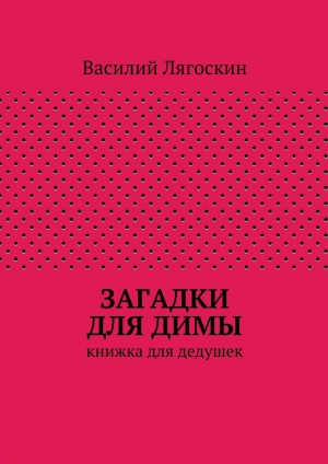 обложка книги Загадки для Димы - Василий Лягоскин