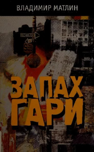 обложка книги Запах гари - Владимир Матлин