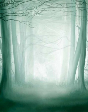 обложка книги Заповедник. Кладовая Богов (СИ) - Рурреки Ли