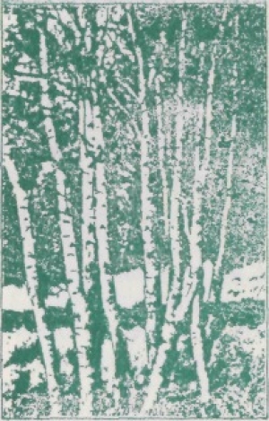 обложка книги Зеленая книга леса - Леонид Семаго