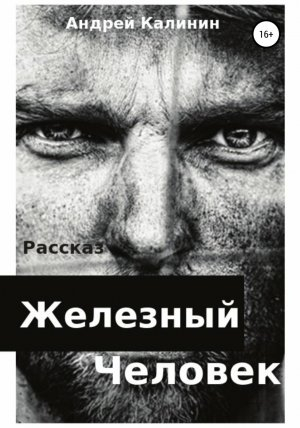 обложка книги Железный Человек - Андрей Калинин
