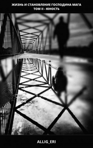 обложка книги Жизнь и становление господина мага. Книга II - Юность (СИ) - allig_eri