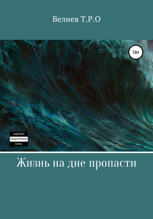 обложка книги Жизнь на дне пропасти - Тарлан Велиев
