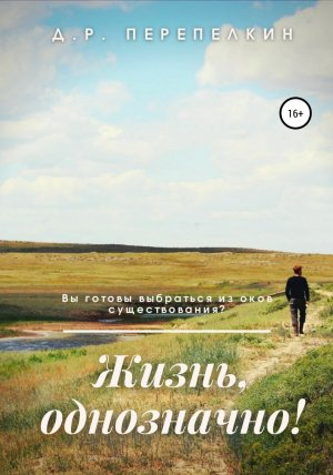 обложка книги Жизнь, однозначно! - Денис Перепелкин