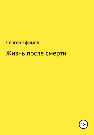 обложка книги Жизнь после смерти - Сергей Ефимов