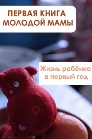 обложка книги Жизнь ребёнка в первый год - Илья Мельников