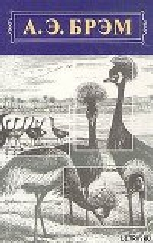 обложка книги Жизнь животных, Том II, Птицы - Альфред Эдмунд Брем
